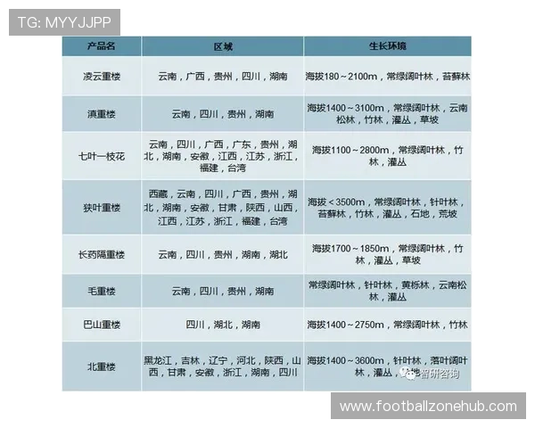 北京足球队伍最新数据分析与未来发展趋势研究